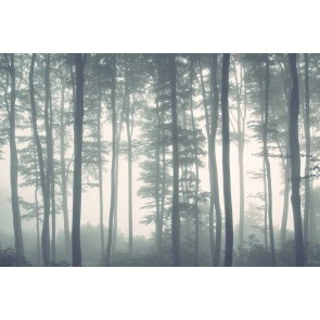 Fotomural Bosque y niebla