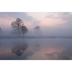 Fotomural niebla en el lago